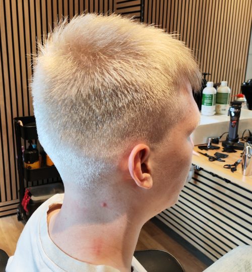 IMG_20240926_155115(1)